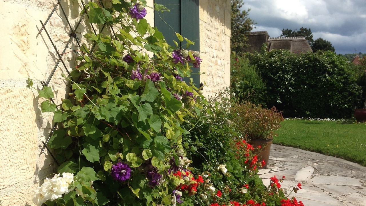 Photo of Outdoor in Tourgeville