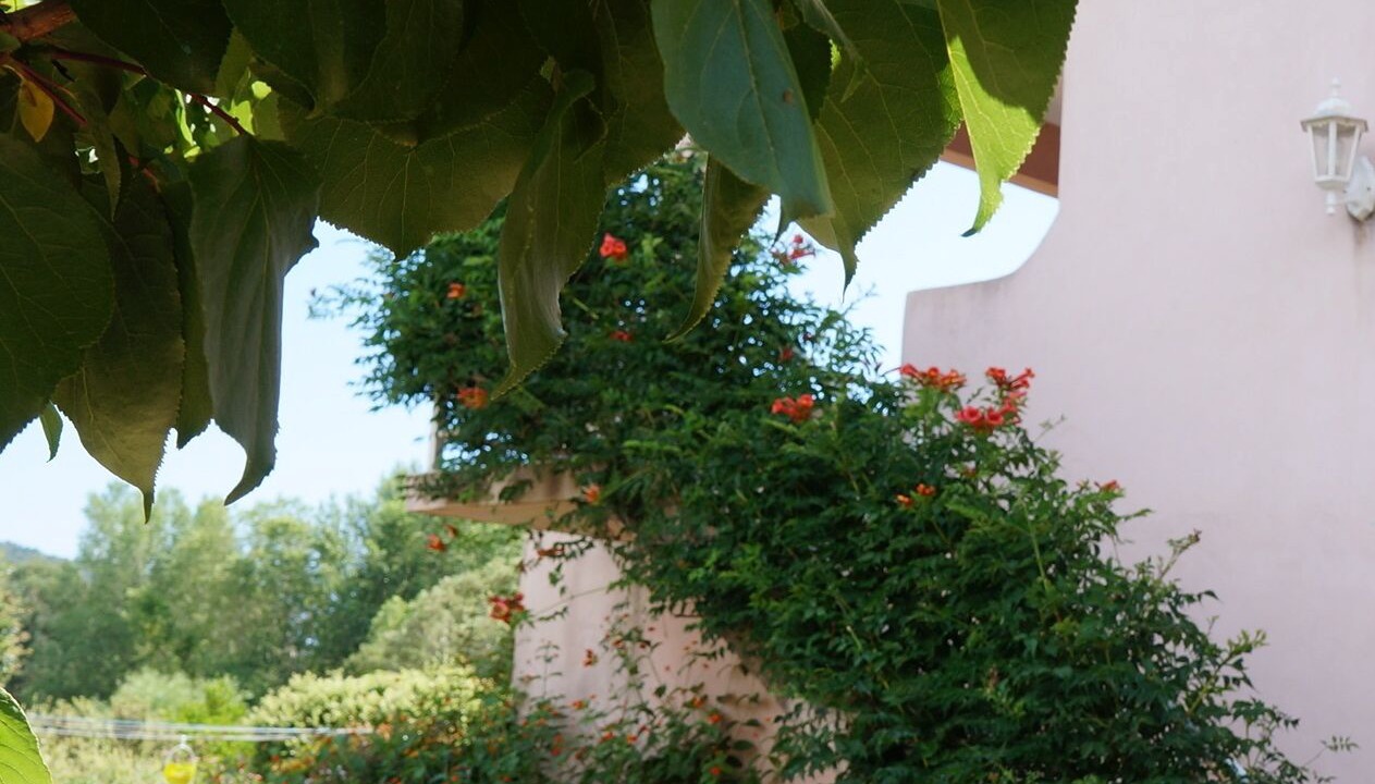 Photo of Outdoor in Pinarellu