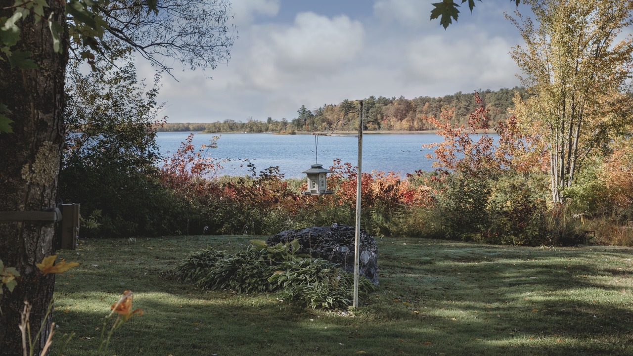 Photo of Outdoor in Westmeath