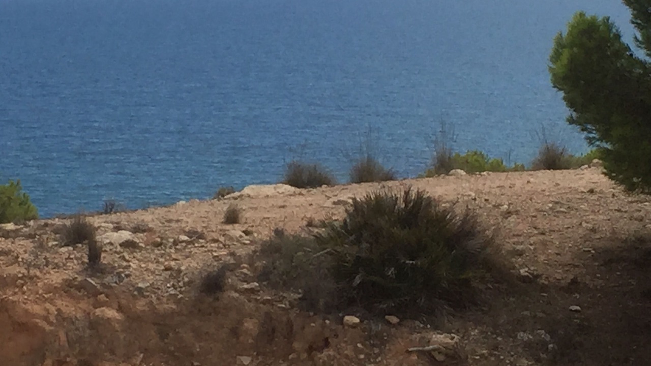 Photo of Others in Dehesa de Campoamor