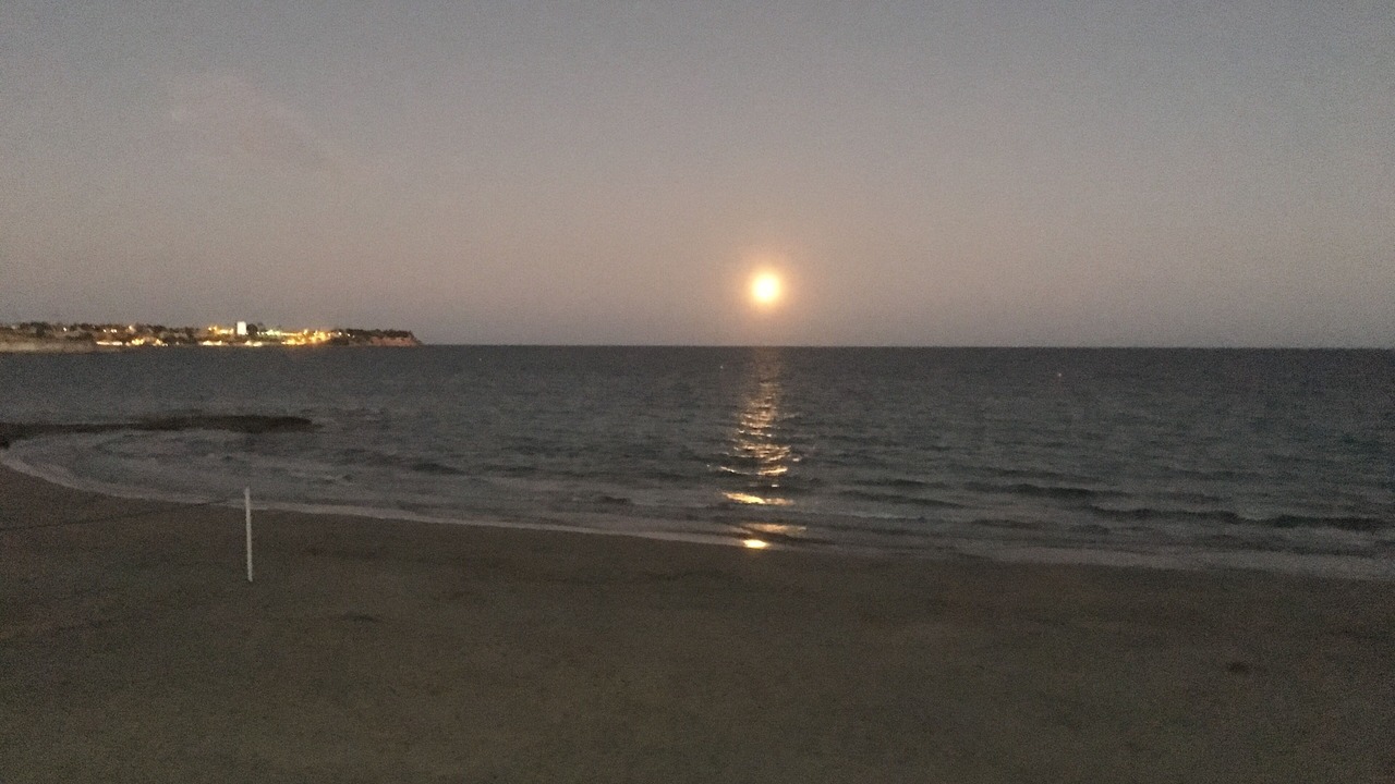Photo of Others in Dehesa de Campoamor