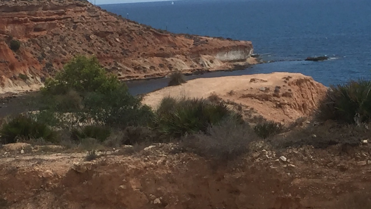 Photo of Others in Dehesa de Campoamor