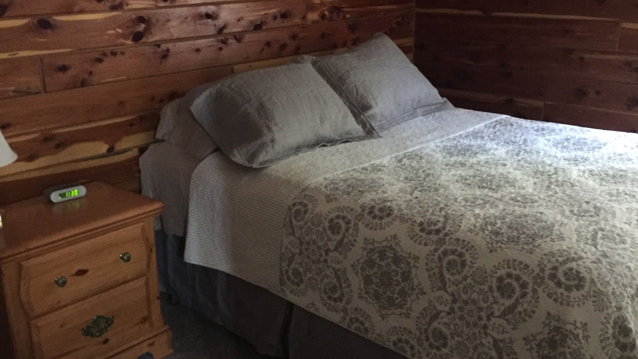 Photo of Others in Roach