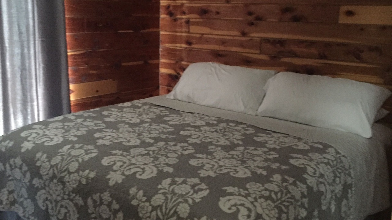 Photo of Others in Roach