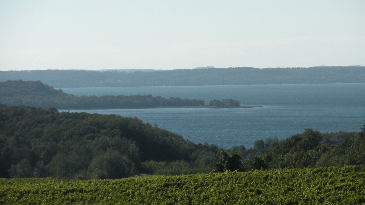 Photo of Others in Traverse City