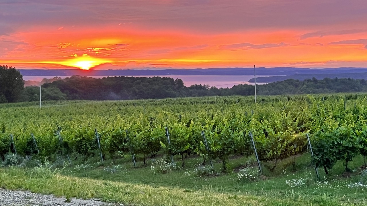 Photo of Others in Traverse City