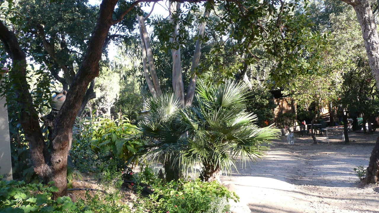 Photo of Outdoor in Argeles-sur-Mer