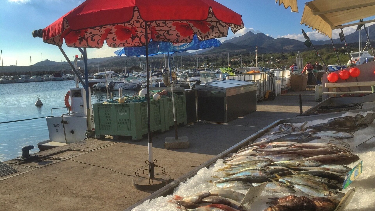Photo of Outdoor in Argeles-sur-Mer
