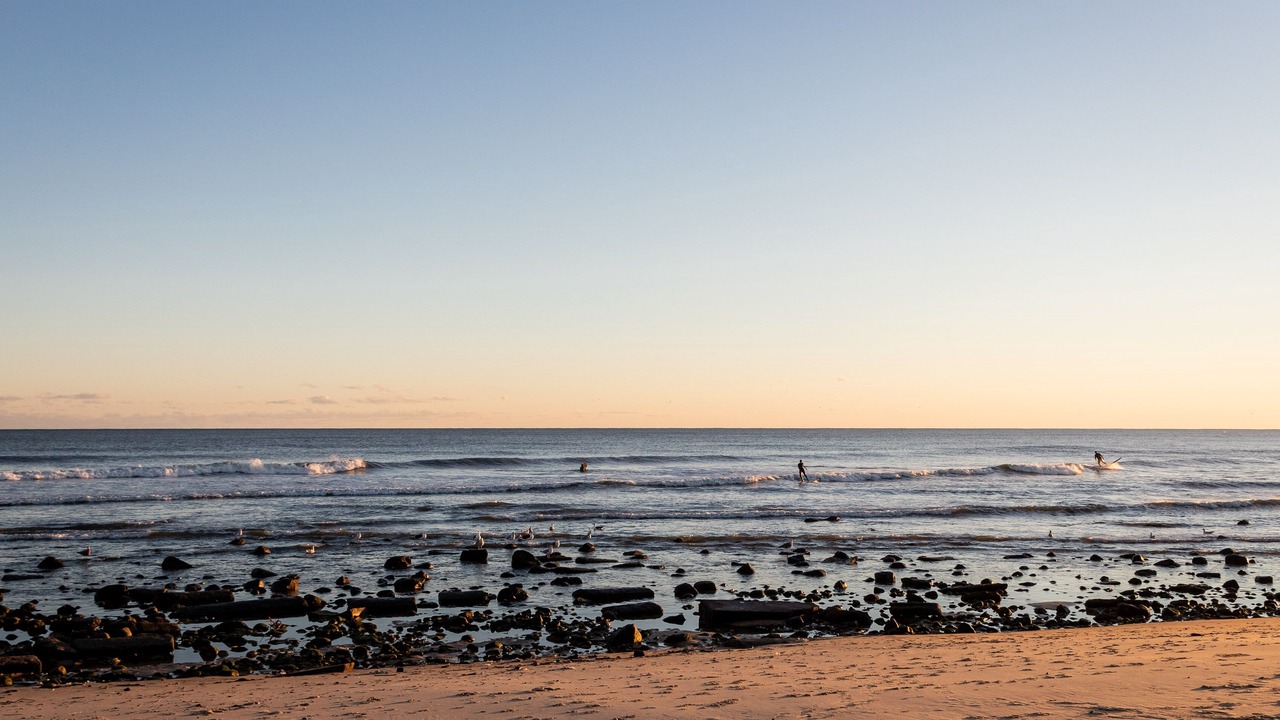 Photo of Others in Montauk