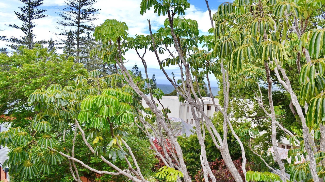 Photo of Outdoor in South West Rocks