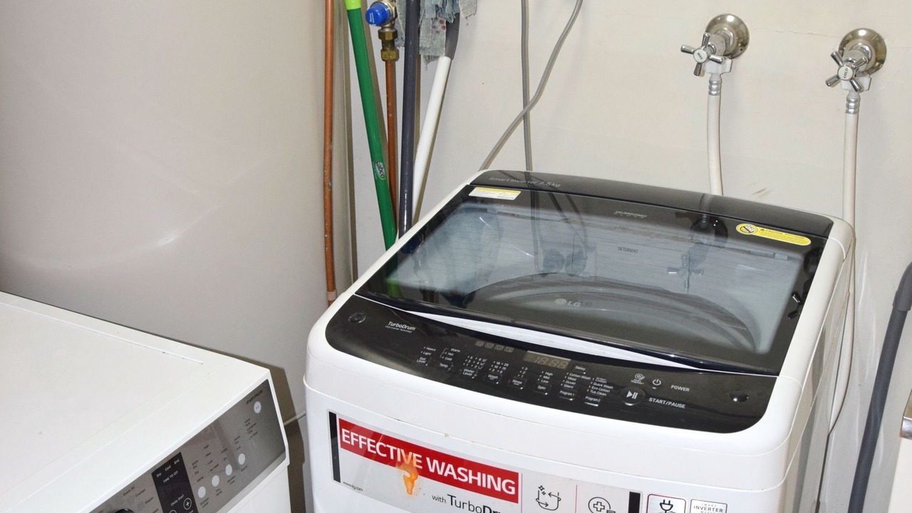 Photo of Others in South West Rocks