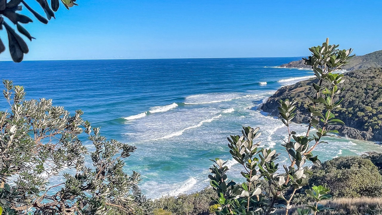 Photo of Others in Hat Head