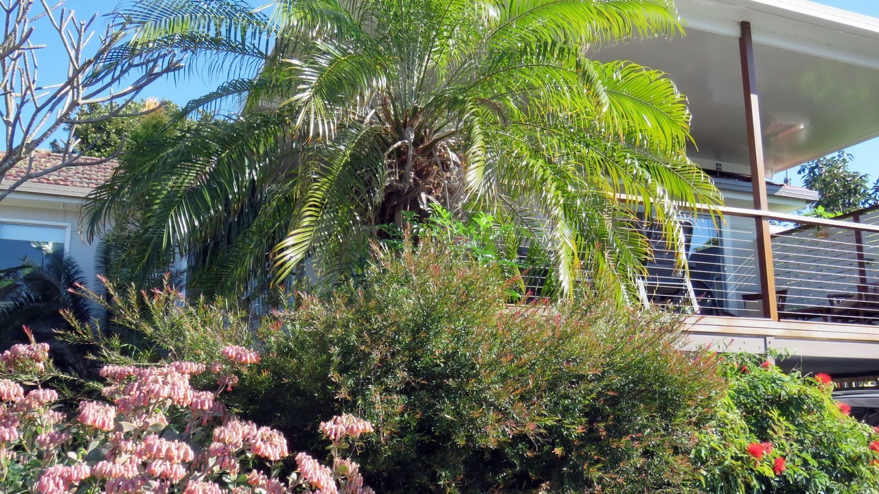 Photo of Others in South West Rocks