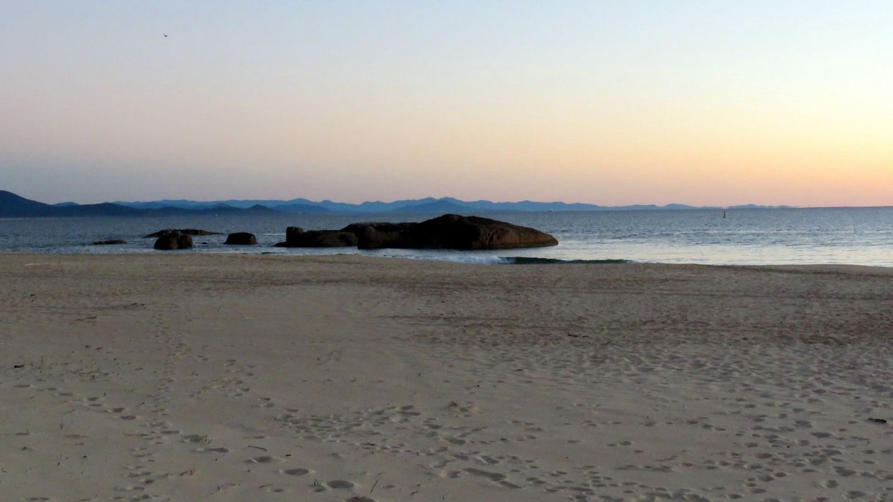 Photo of Others in South West Rocks