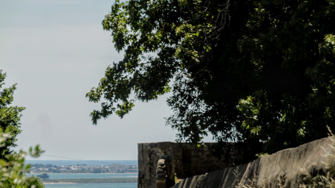 Photo of Others in Clis