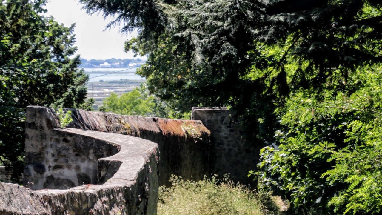 Photo of Outdoor in Clis