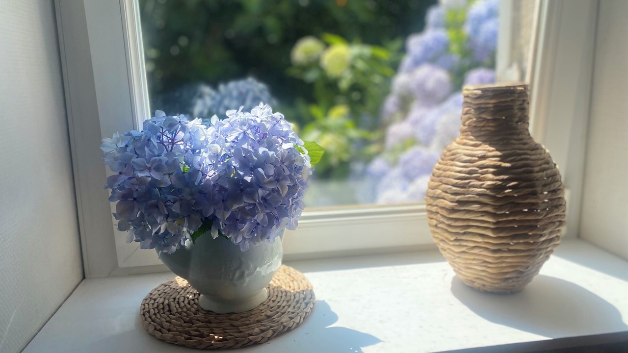 Photo of Others in Clis