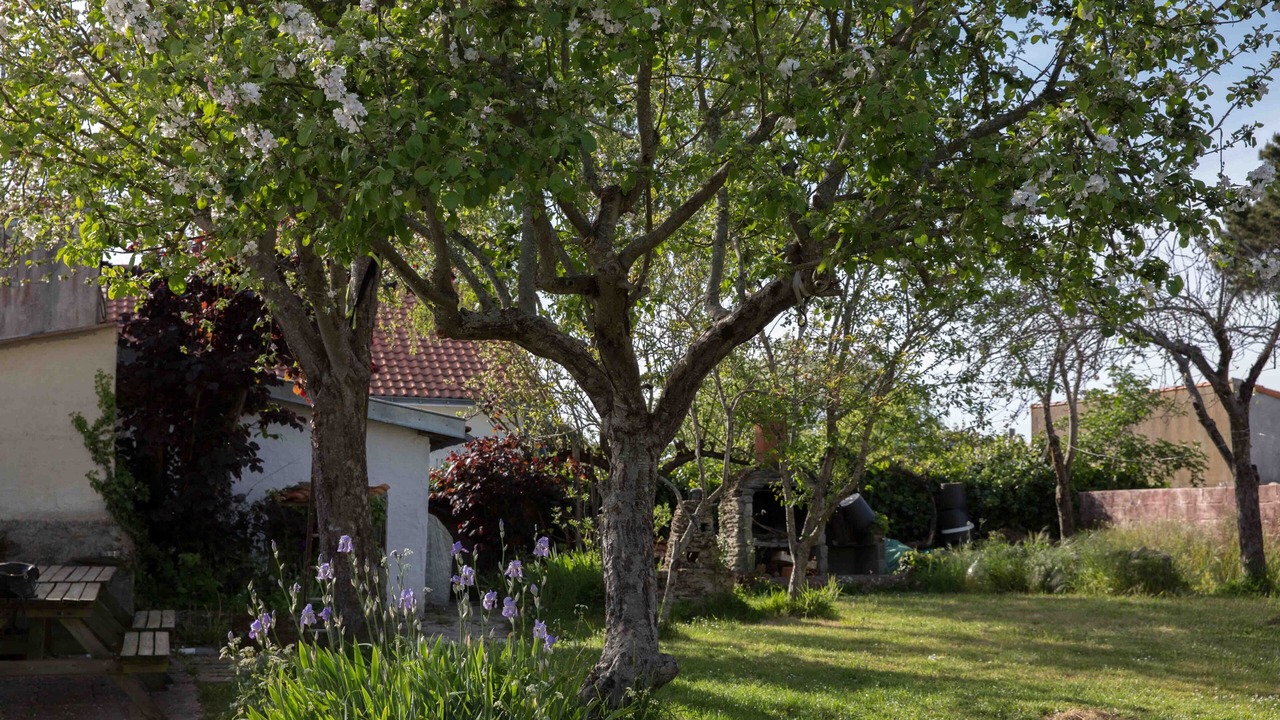 Photo of Outdoor in Les Moutiers-en-Retz