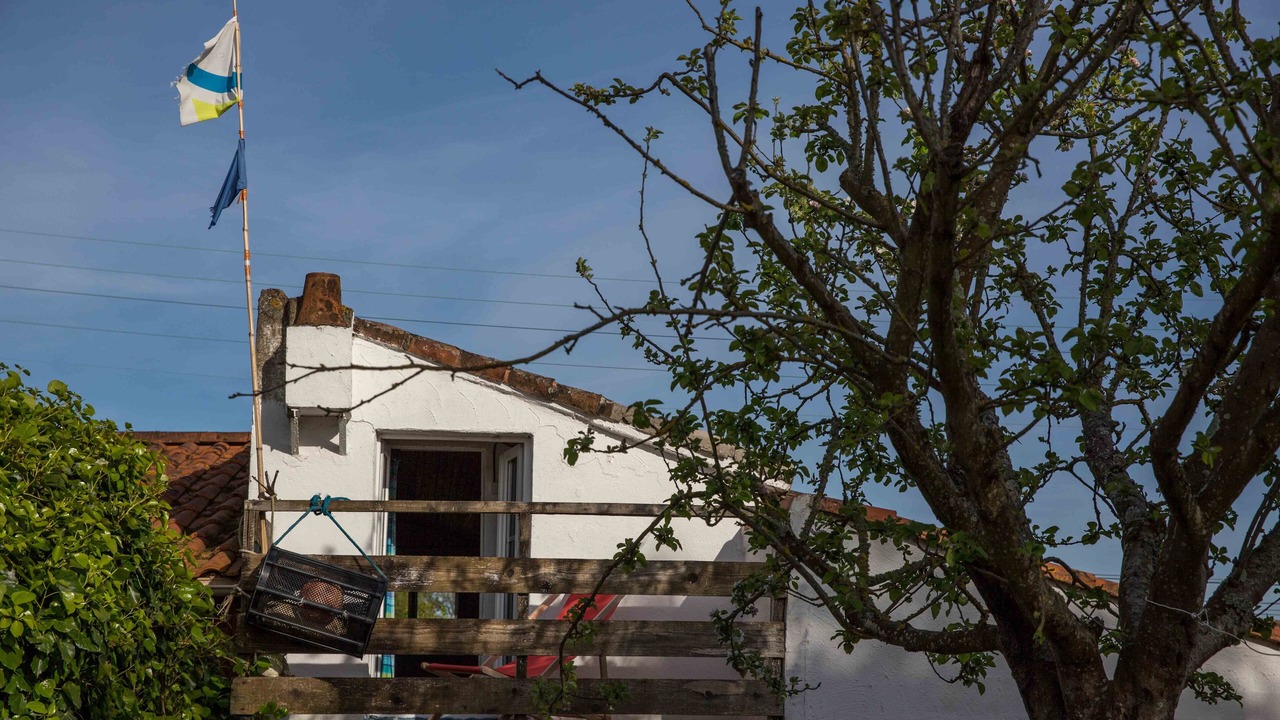 Photo of Outdoor in Les Moutiers-en-Retz