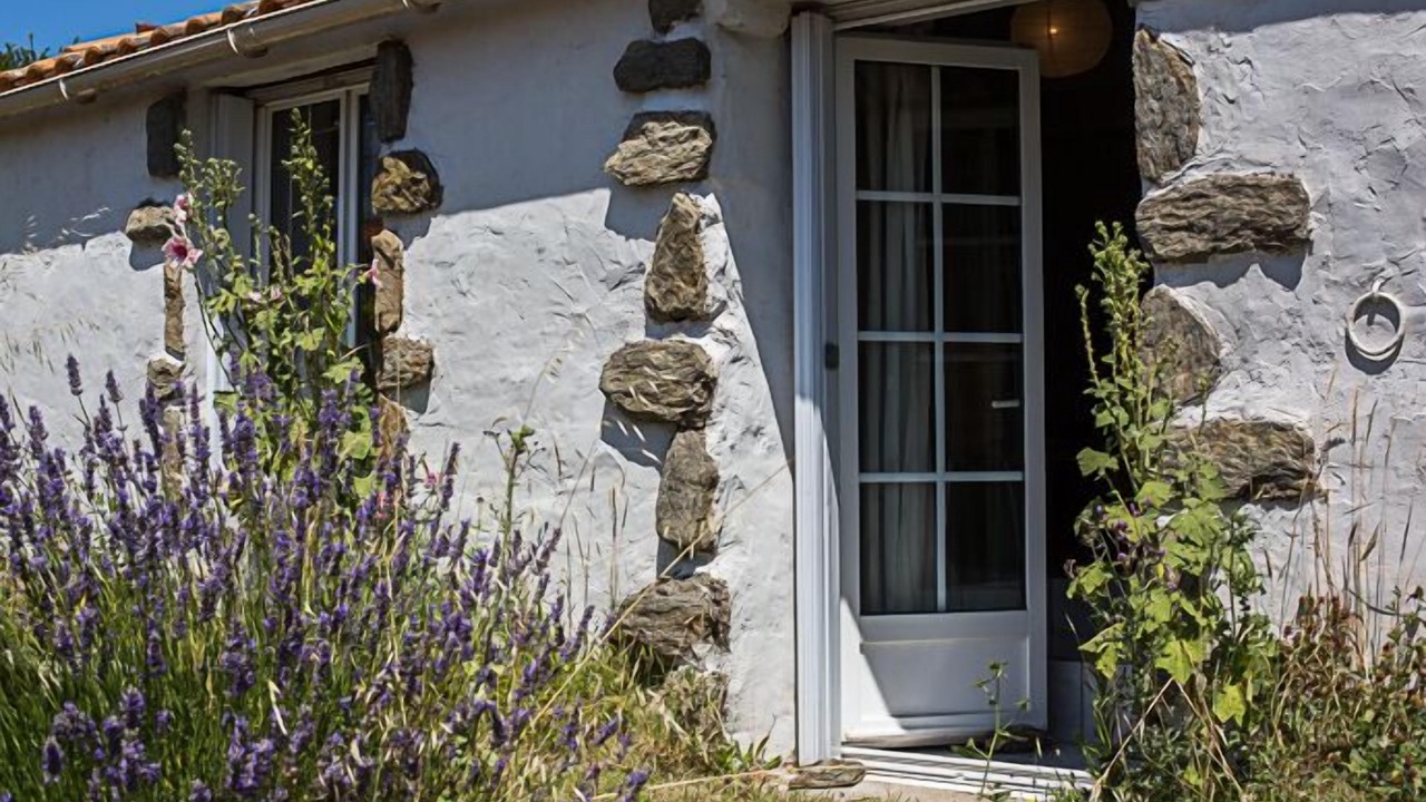 Photo of Outdoor in Les Moutiers-en-Retz