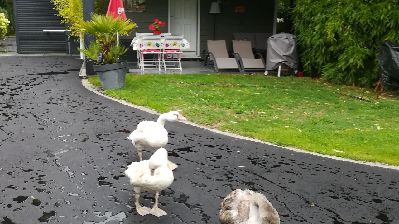 Photo of Outdoor in Montivilliers