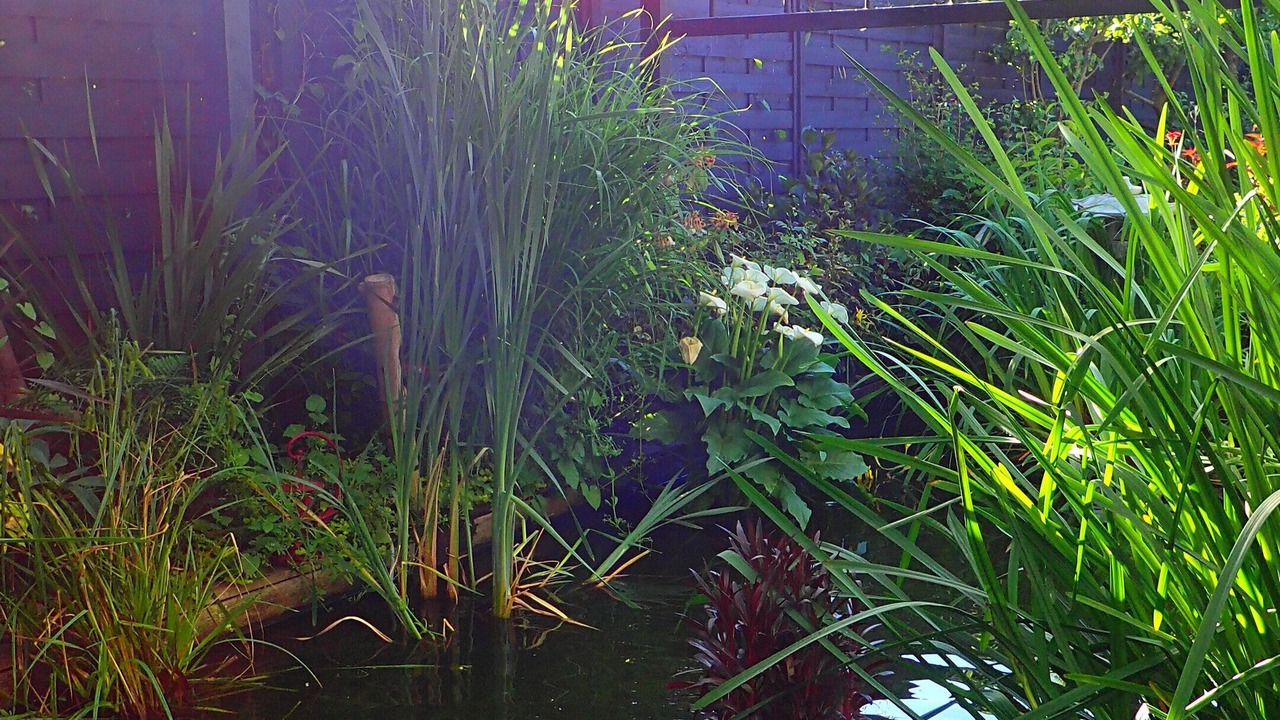 Photo of Outdoor in Montivilliers