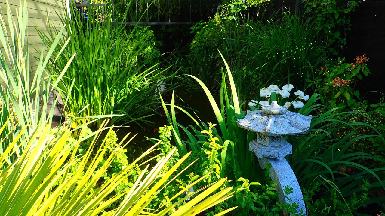 Photo of Outdoor in Montivilliers