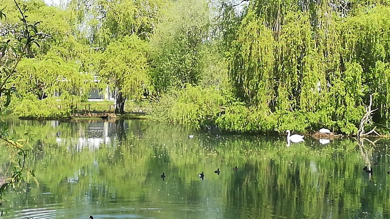 Photo of Outdoor in Montivilliers