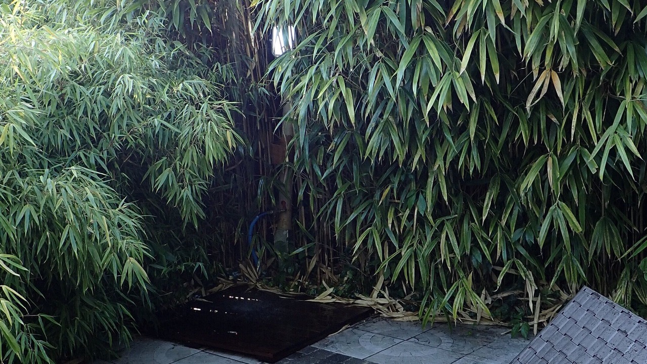Photo of Outdoor in Montivilliers