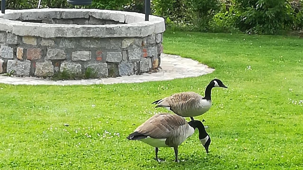 Photo of Outdoor in Montivilliers