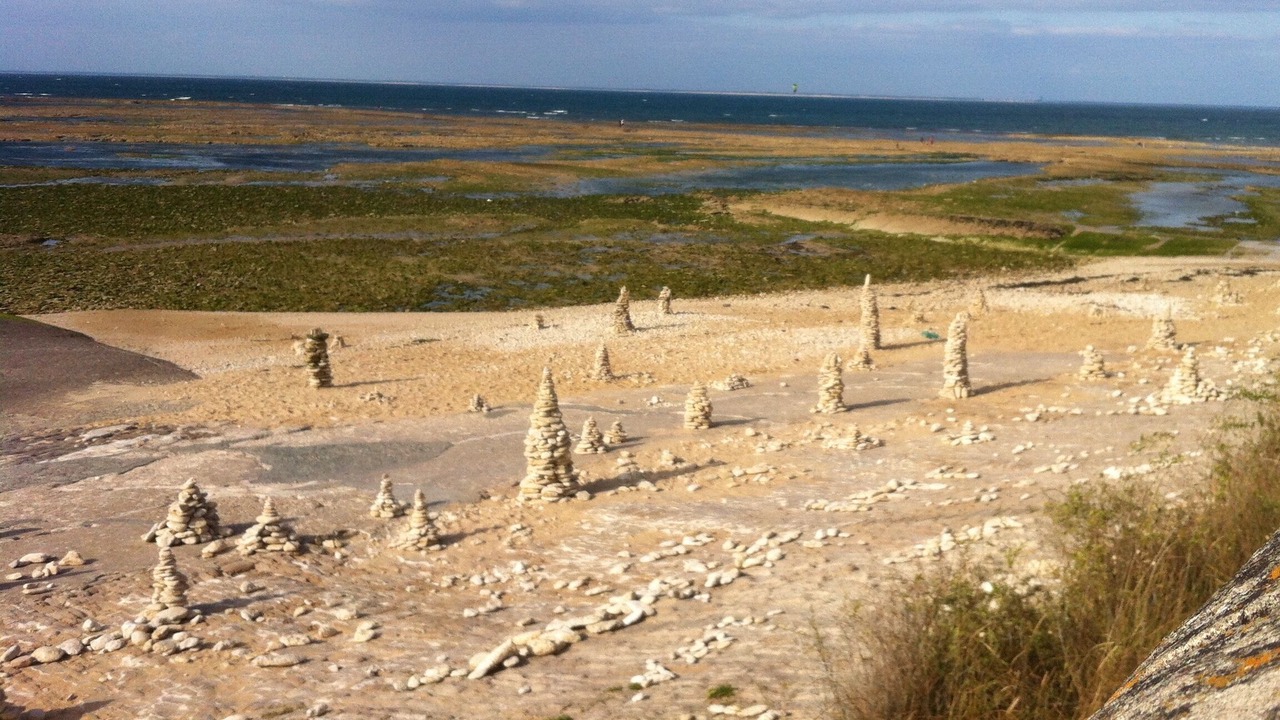 Photo of Others in Dompierre-sur-Mer