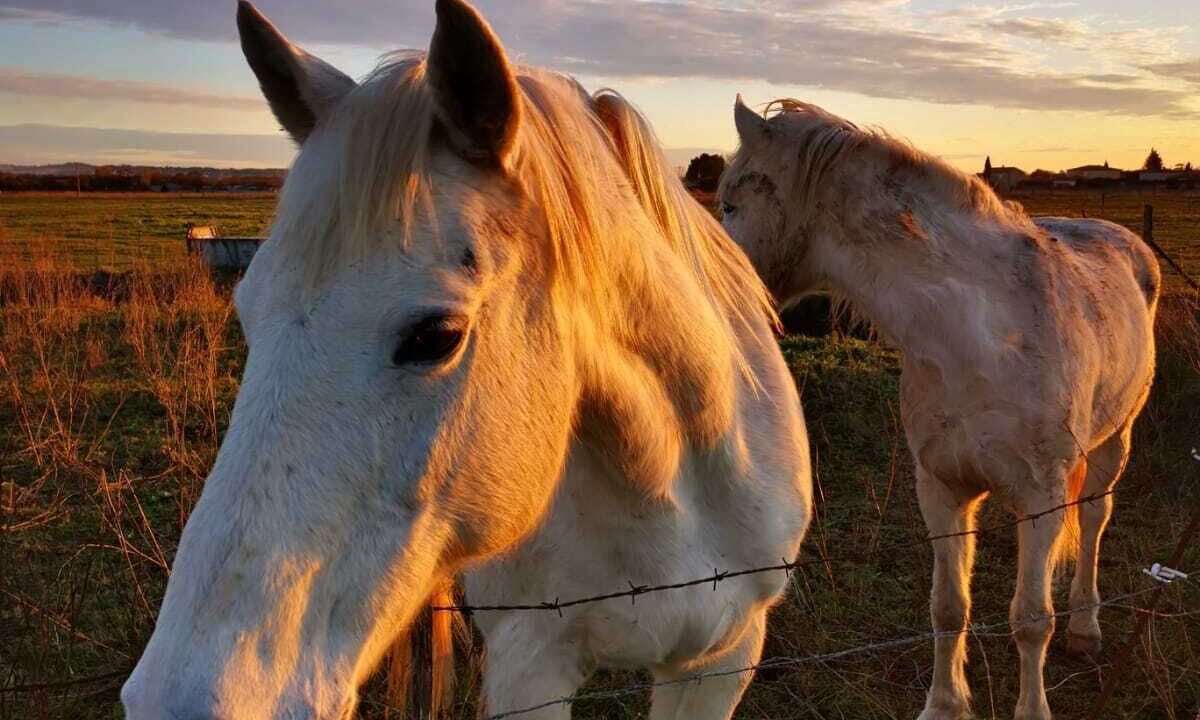 Photo of Outdoor in Bernis