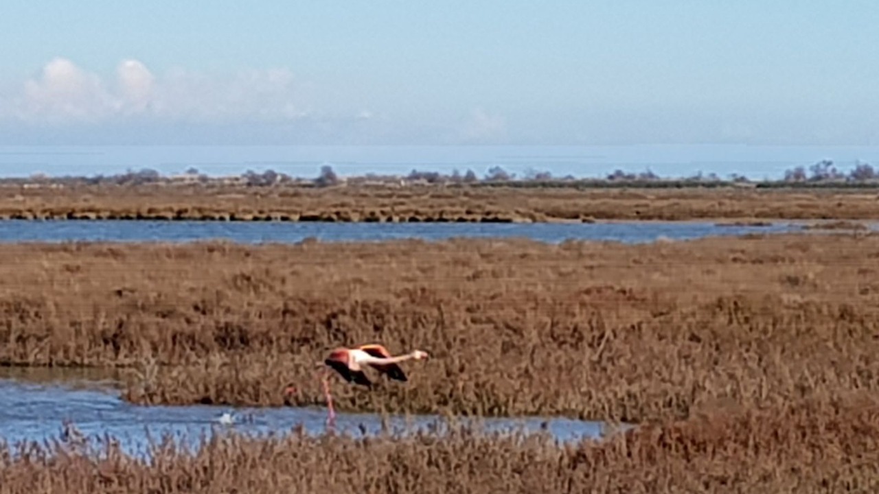 Photo of Others in Bernis