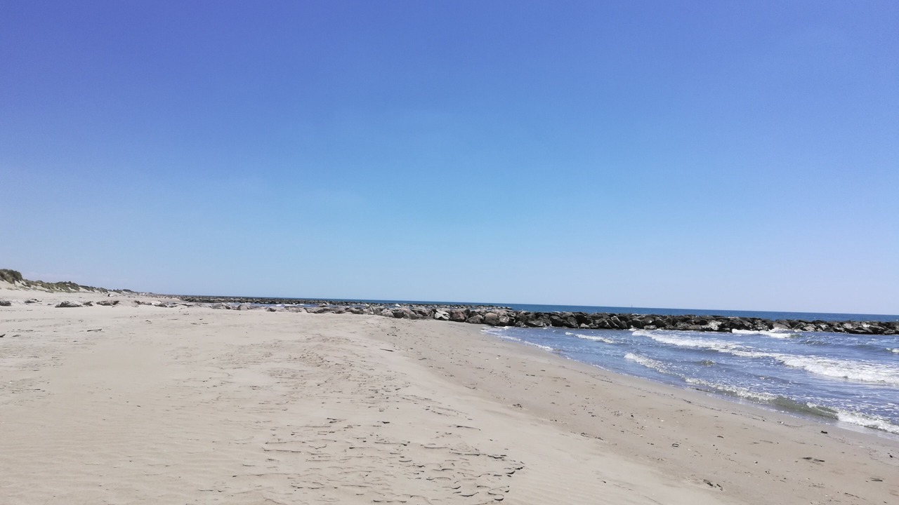 Photo of Others in Bernis