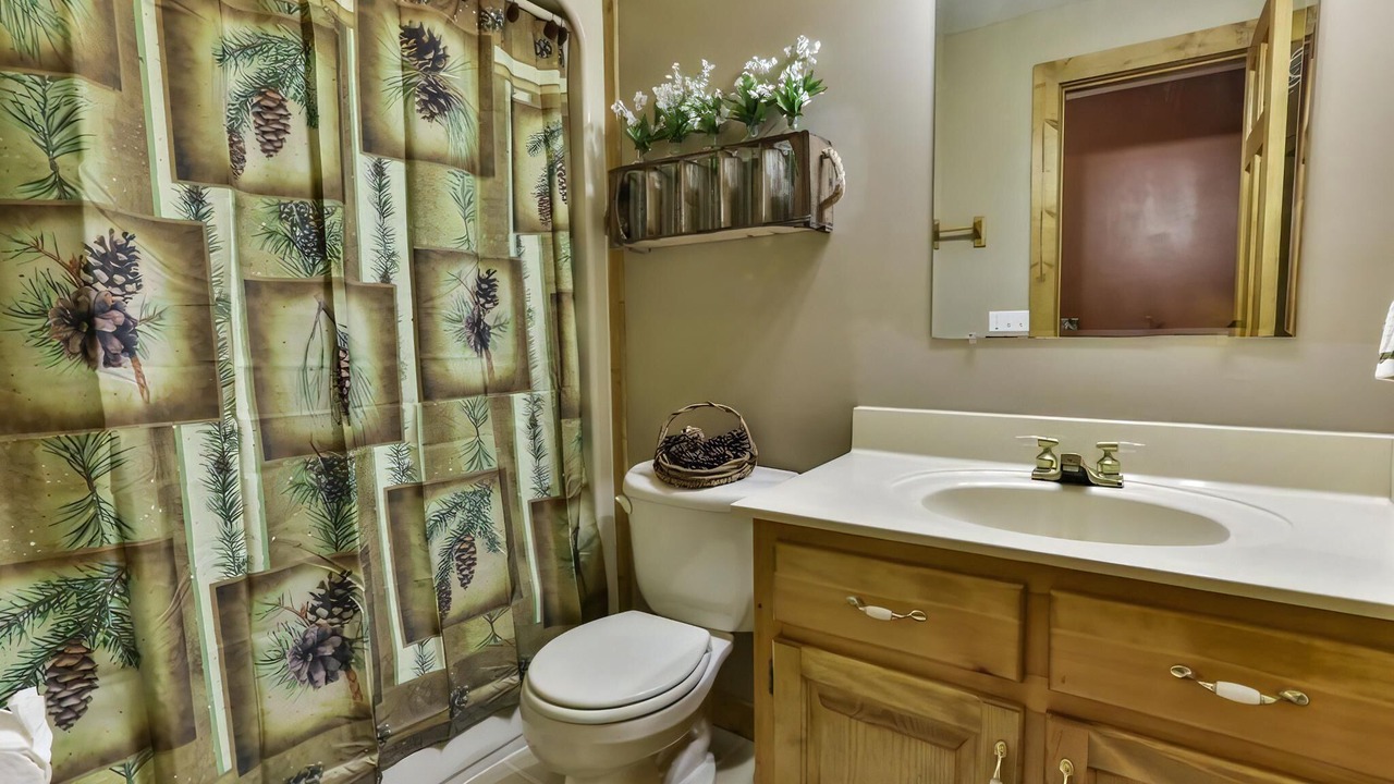 Photo of Bathroom in Ellijay