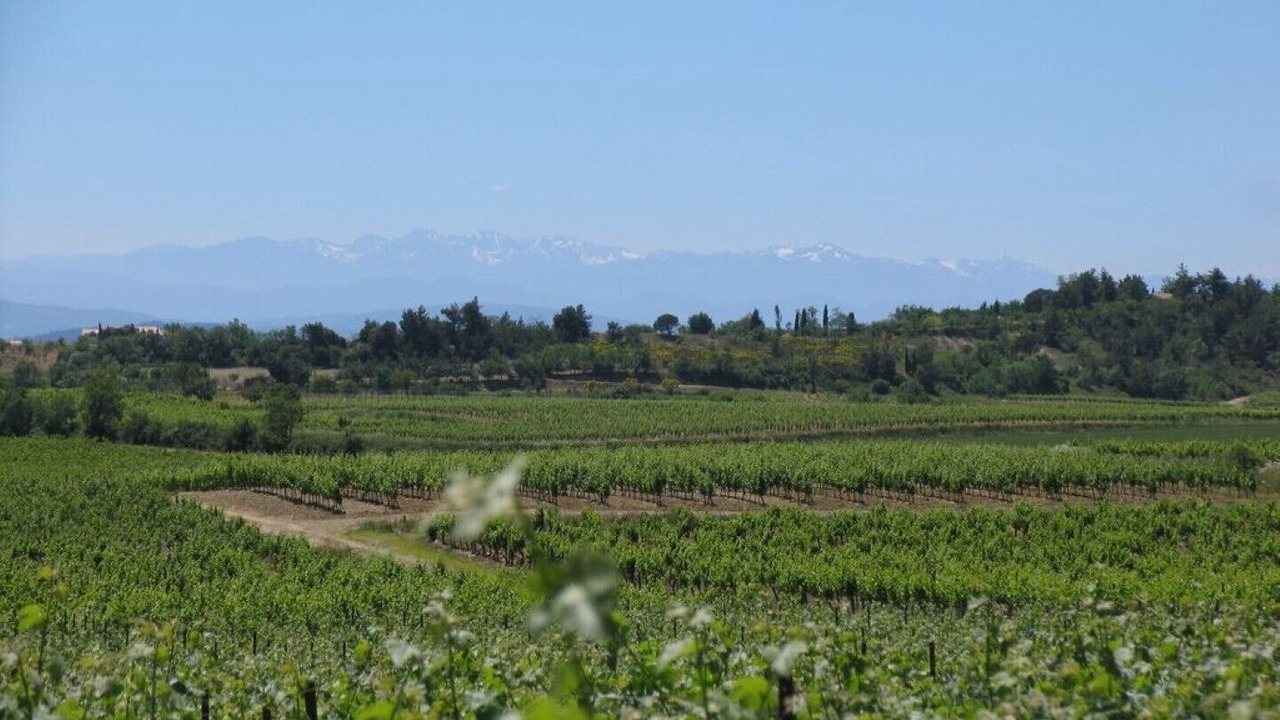 Photo of Outdoor in Conques-sur-Orbiel