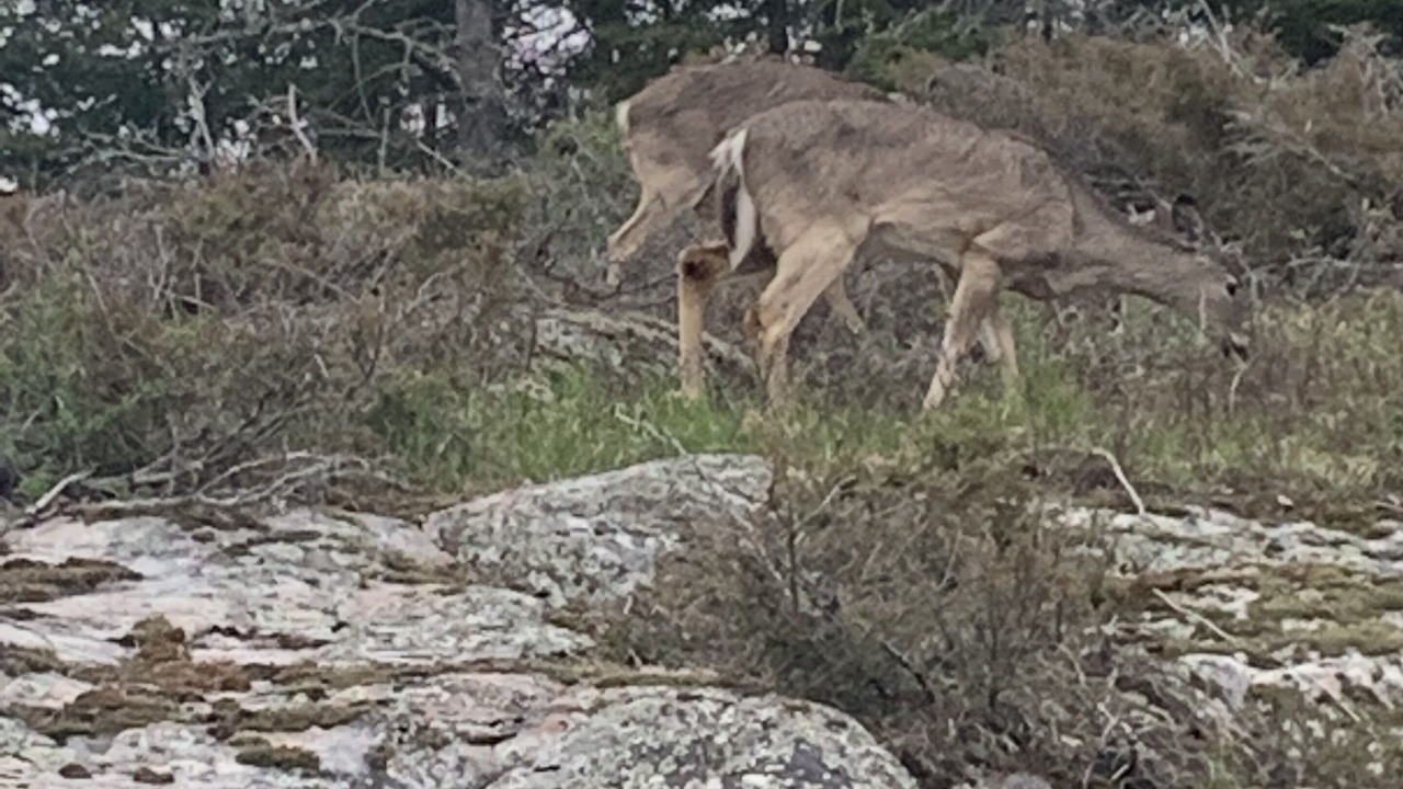 Photo of Outdoor in Kenora