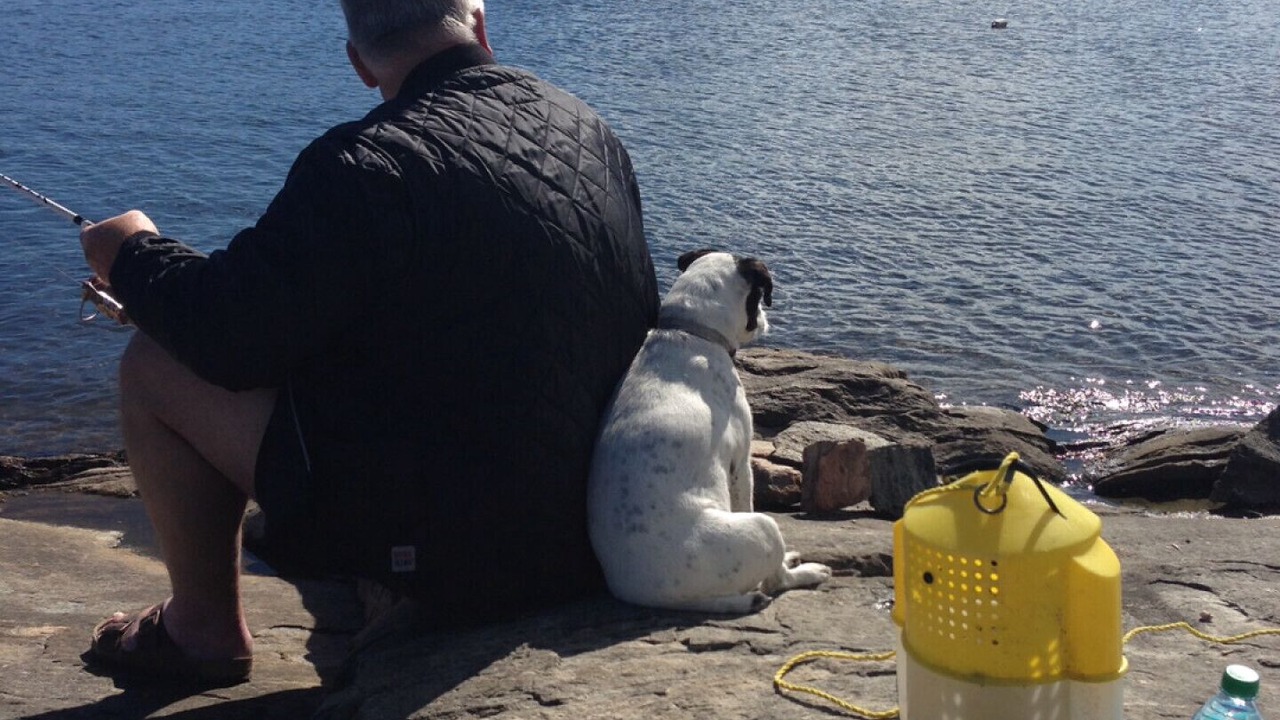 Photo of Others in Kenora