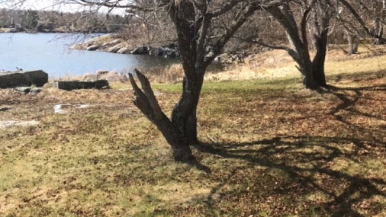 Photo of Others in Kenora