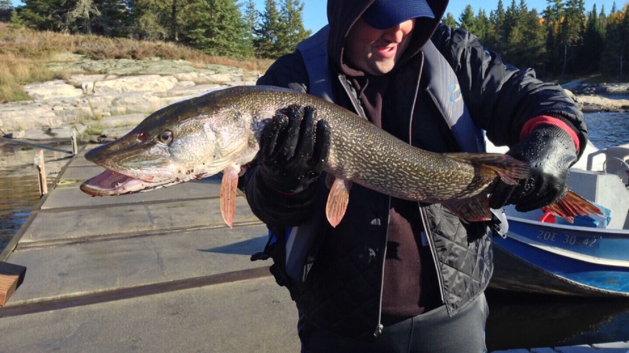 Photo of Others in Kenora