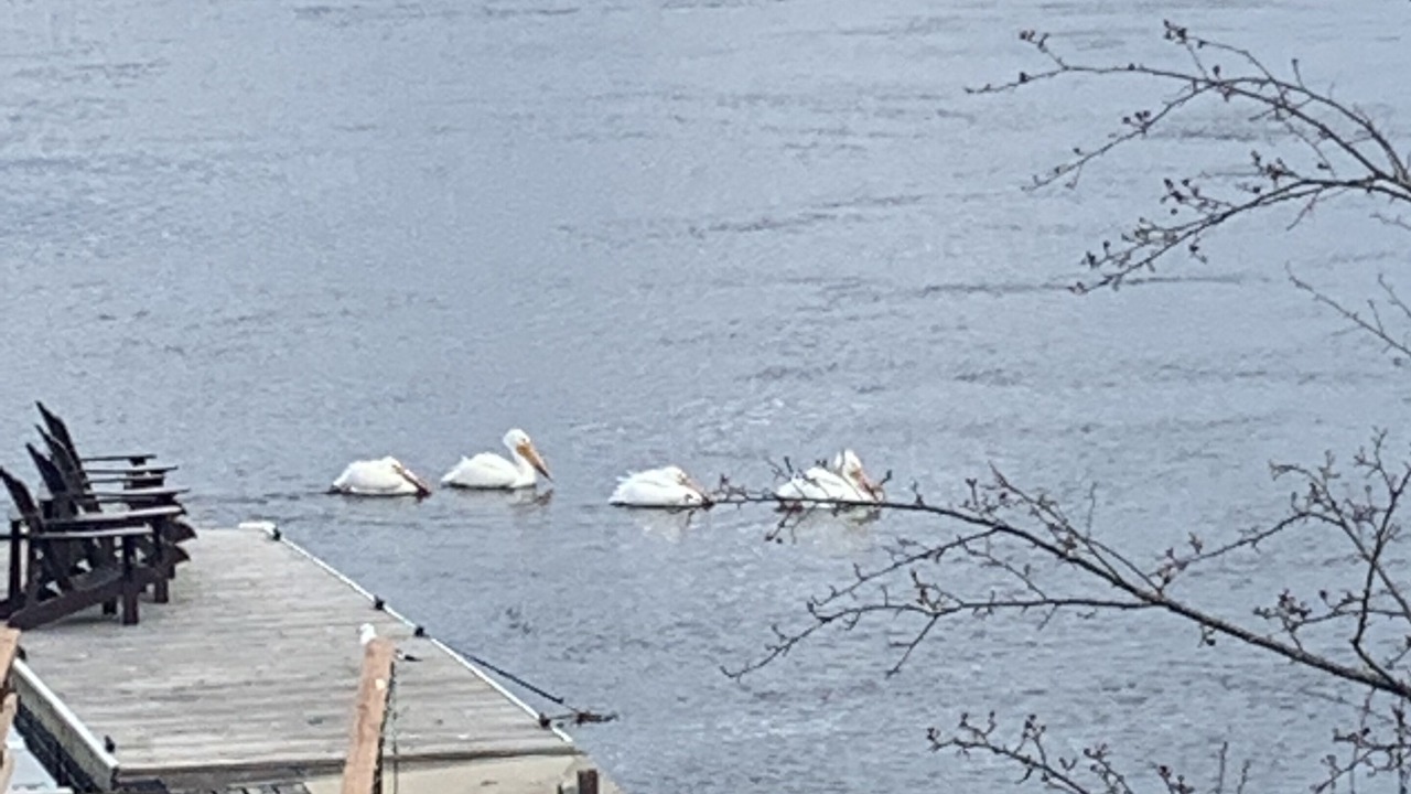 Photo of Outdoor in Kenora