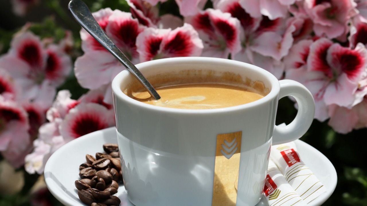 Photo of Others in Porto