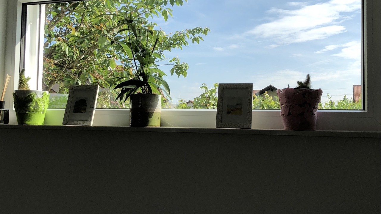 Photo of Others in Eiken