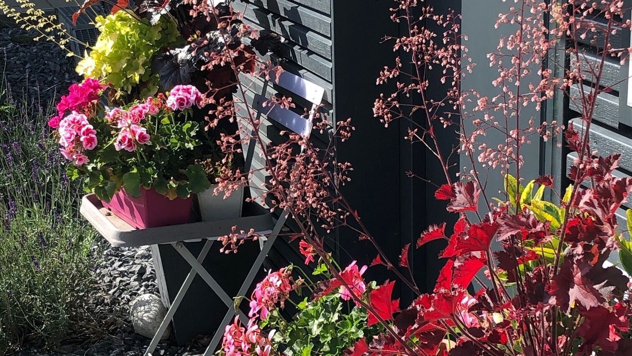 Photo of Outdoor in Eiken