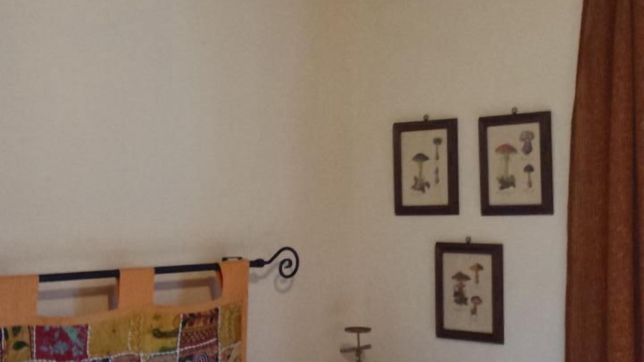 Photo of Others in Aurigeno