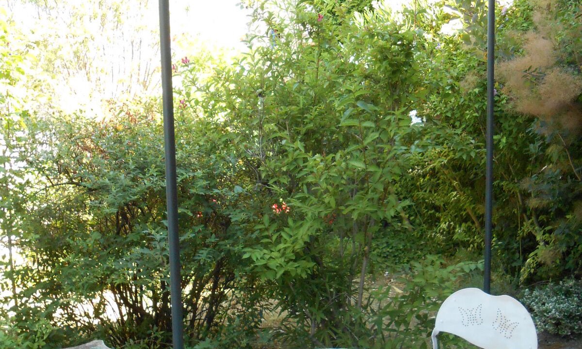 Photo of Outdoor in La Laupie