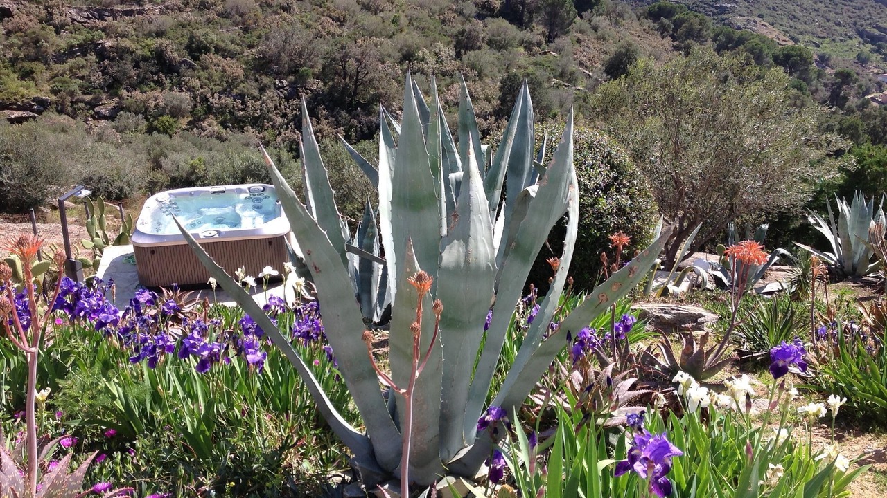 Photo of Outdoor in Roses Town Center