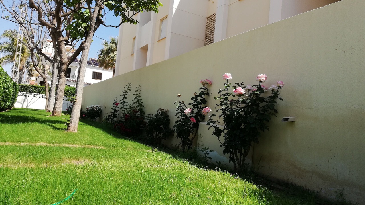 Photo of Outdoor in Xeraco Beach