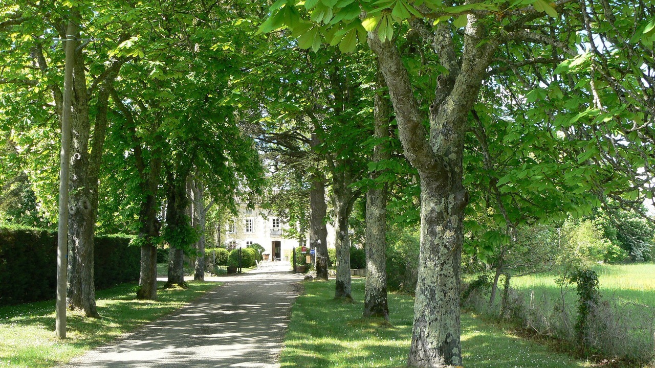 Photo of Outdoor in Roquecor