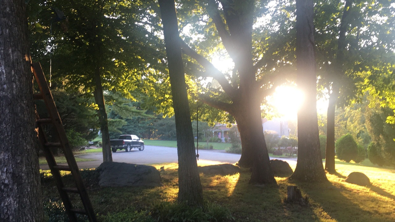 Photo of Outdoor in Garnet Valley